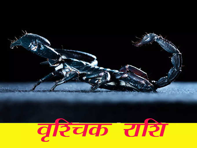 शनि गोचर का वृश्चिक राशि पर प्रभाव