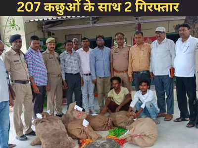 Pratapgarh News: 207 कछुओं के साथ GRP ने दबोचे 2 तस्कर, फिल्मी तरीके से धरे गए आरोपी