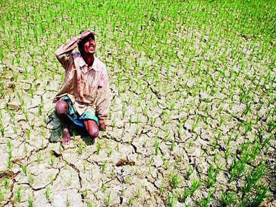 Bihar Weather Update: बिहार में कमजोर मॉनसून ने बढ़ाई किसानों की चिंता, जानिए कब से फिर बारिश की बन रही है संभावना