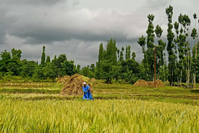 दुनिया का सबसे बड़ा चावल निर्यातक है भारत