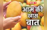 National Mango Day : दुनिया में आम का बॉस है भारत, ये रोचक फैक्ट भी जान लीजिए