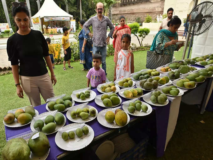 आम की लोकप्रिय किस्में