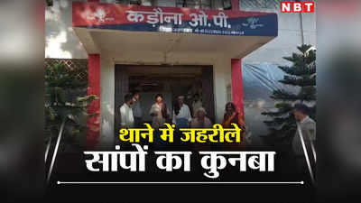 Bihar: जहानाबाद पुलिस थाने में जहरीले सांपों का बसेरा, कोबरा का कुनबा देख हैरान हुई पुलिस
