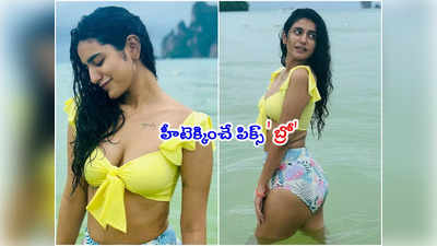 Priya Prakash Varrier: బోల్డ్ పిక్స్‌తో బ్రో బ్యూటీ.. థాయ్‌లాండ్‌ బీచ్‌లో చిల్ అవుతూ 