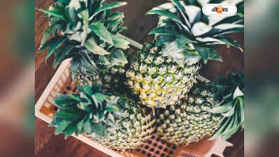 Tripura Queen Pineapple : ব্যবসার ‘ডেস্টিনেশন’ হবে ত্রিপুরা! GI ট্যাগ পাওয়া আনারসেই লাভের আশা