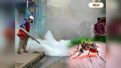 Dengue In Kolkata : ডেঙ্গি রোখার পুর-অভিযানে উঠছে বিস্তর প্রশ্ন, বাড়ছে সংকট