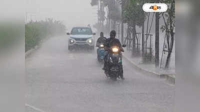Gujarat Rain : ভাসছে গুজরাট, রাস্তায় দিব্যি চড়ে বেড়াচ্ছে সিংহ-কুমির