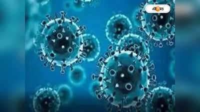 Covid 19 Virus : চিহ্নিত লং কোভিডের ভিলেন