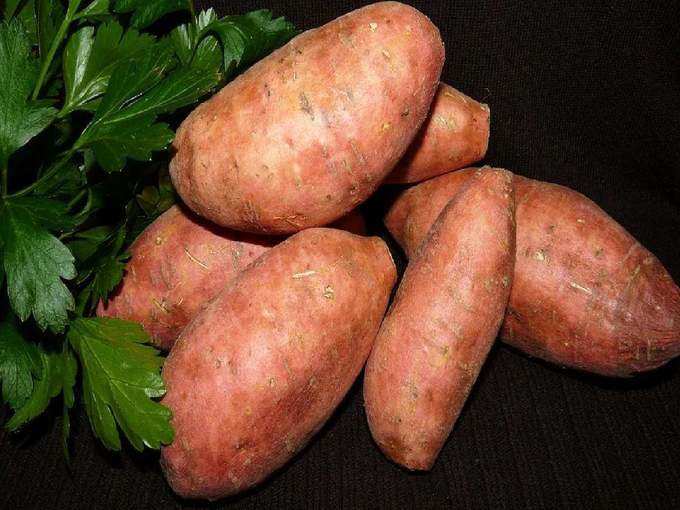 sweet potato for diabetes