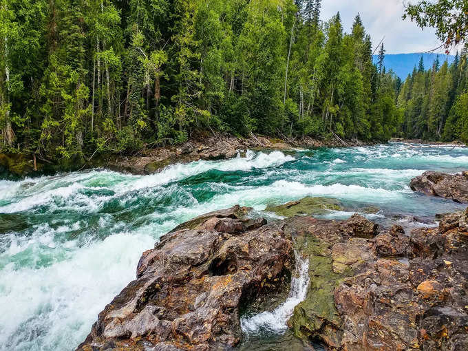 ​<strong>Tapti River </strong>​