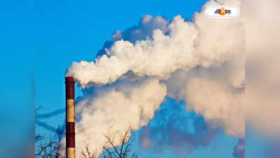 Fossil Fuel Pollution: পুড়লেও হবে না দূষণ, কয়লার ময়লা কী ভাবে তুলছে জাপান?