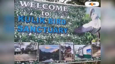 Kulik Bird Sanctuary: কুলিক পক্ষীরালয়ে পাখির আগমনের সময়ে পরিবর্তন, কারণটি আসলে ভয়াবহ