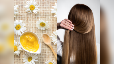 Ghee For Hair: ડ્રાય હેરની સમસ્યામાં કારગત છે દેશી ઘીનો ઉપયોગ; મળશે ગજબ સ્વાસ્થ્ય ફાયદા, એક્સપર્ટની ટિપ્સ 