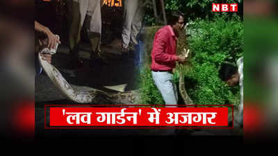 Bhilwara News: लव गार्डन में अचानक ही घुस गया एनाकोंडा, 12 फीट का अजगर देख सिर पर पैर रख भागे लोग