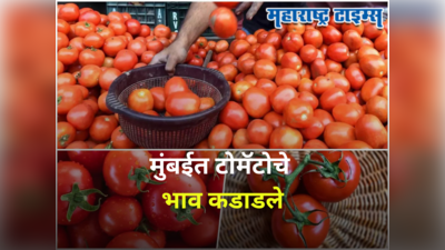 Tomato Price Mumbai : मुंबईत टोमॅटोने विक्रम मोडला, किलोचा भाव वाचून हादराल; नव्या दराने सर्वसामान्य चिंतेत