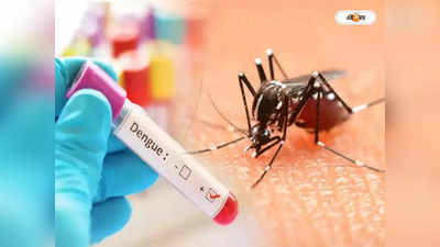 Dengue Death In Kolkata : বাড়ছে উদ্বেগ, ফের রাজ্যে ডেঙ্গিতে মৃত্যু ২ জনের! আক্রান্ত বাড়ছে দুই ২৪ পরগনায়