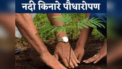 Chhattisgarh News: चार साल में लगाए गए 47 लाख पौधे, नदियों के किनारे फैली हरियाली, ग्रामीणों की बढ़ी आय