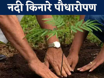 Chhattisgarh News: चार साल में लगाए गए 47 लाख पौधे, नदियों के किनारे फैली हरियाली, ग्रामीणों की बढ़ी आय