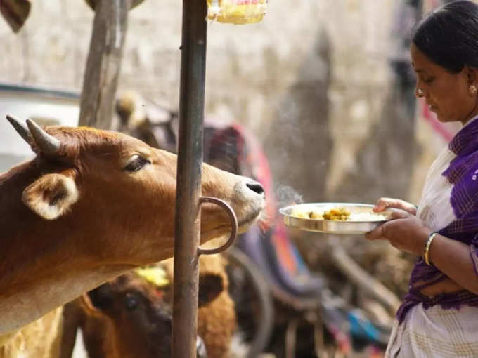 इस उपाय से दरिद्रता होगी दूर