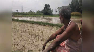 बिहार में मौसम की बेरुखी, खेतों में पड़ी दरारों को देख फट रहा किसानों का कलेजा