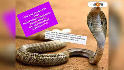 Snake Recover: সাপের সঙ্গে ঘর করতে হবে? নিউ টাউনে ফ্ল্যাট কিনে ভয়ে সিঁটিয়ে অনেকেই