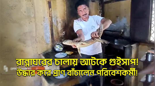 monitor lizards stuck inside kitchen later ankur das rescued safely in jalpaiguri watch the video
