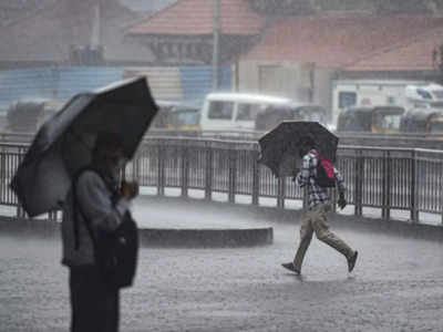 Maharashtra Rain Live News: मुंबई आणि उपनगरातील शाळांना सुट्टी, पावसाच्या इशाऱ्याच्या पार्श्वभूमीवर निर्णय