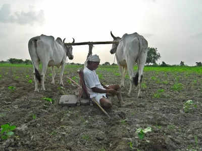 महाराष्ट्र में 3 साल में 7092 किसानों ने दी जान, जानिए क्यों नहीं रुक रहा आत्महत्या का सिलसिला