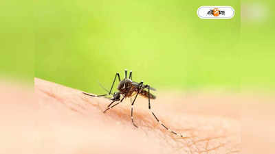 Dengue Fever : সংক্রমণের সঙ্গে পাল্লা দিয়ে বাড়ছে মৃতের সংখ্যা, ফের রাজ্যে ডেঙ্গির বলি ১