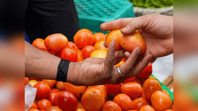Tomato Smuggling:  नेपाल बॉर्डर पर 3 क्विंटल टमाटर की तस्‍करी, लखनऊ तक हड़कंप, 4 कस्‍टम ऑफिसर सस्‍पेंड