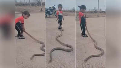 Snake Viral Video: সাপের সঙ্গে দেদার খেলা! খুদের কীর্তিতে চোখ কপালে নেটিজেনদের, দেখুন ভয়ংকর ভিডিয়ো