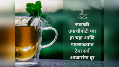 सकाळी उपाशीपोटी प्या हा चहा आणि पावसाळ्यात ठेवा सर्व आजारांना दूर, डायबिटीस रूग्णांसाठी वरदान