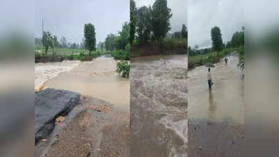 Maharashtra Rain: नांदेडला मुसळधार पावसाने झोडपलं, ७ मंडळात अतिवृष्टी; पूर आल्याने गावांचा संपर्क तुटला