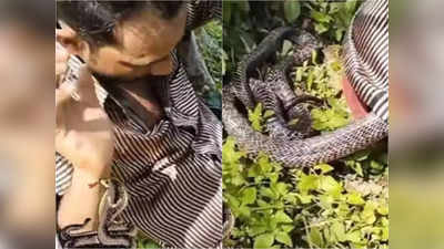 Snake Viral Video: ঘুমিয়ে ছিলেন গাছতলায়, জামার ভিতর ঢুকে পড়ল কেউটে সাপ! তারপর? প্রকাশ্যে হাড়হিম ভিডিয়ো