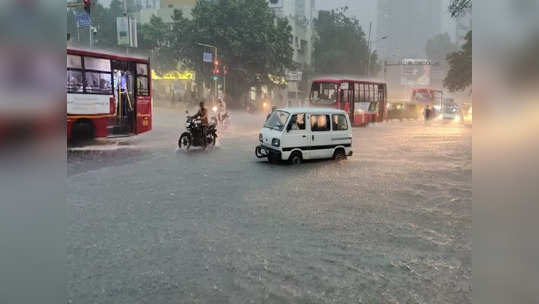 ગુજરાતના આ જિલ્લાઓમાં 2 દિવસ ભારેથી અતિભારે વરસાદની હવામાન વિભાગની આગાહી 