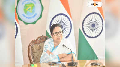 Mamata Banerjee : শাহি বৈঠকে কী প্ল্যান, ফাঁস করলেন মমতা