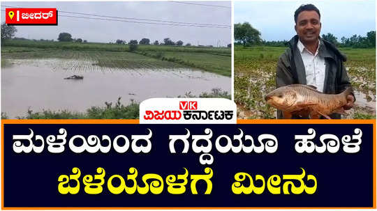 heavy rains in bidar river flood water flow to agriculture fields fishes to farm lands bridges overflow