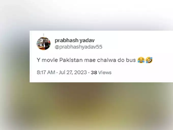 हा चित्रपट पाकिस्तानात रिलिज होणार का?