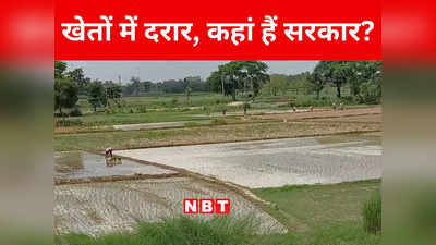 Bihar: सीतामढ़ी के धान के खेतों में दरार... किसान पीट रहे कपार, डीजल अनुदान बाधित, कृषि समन्वयक हड़ताल पर