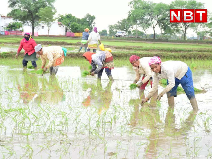 सरकारी योजनाओं का मिला फायदा