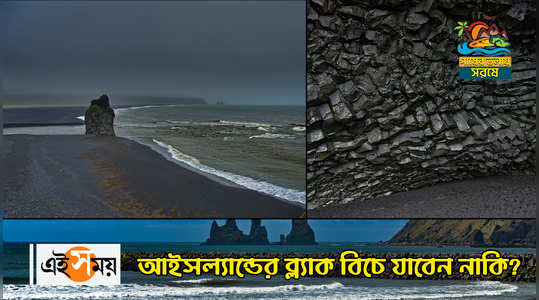 iceland tour episode 3 reynisfjara black sand beach details for you watch the exclusive video