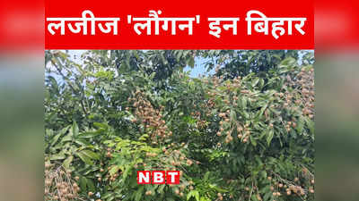 Bihar: थाईलैंड के लजीज लौंगन से होगी बंपर कमाई, बिहार में मुजफ्फरपुर के किसानों ने लीची जैसी एक और फसल उगाई