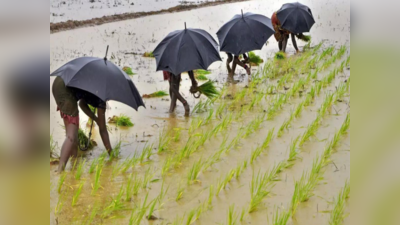 Bihar Weather Update: दगाबाज मौसम पर आ गया बड़ा अपडेट, अगले पांच दिनों में पानी-पानी हो जाएगा बिहार