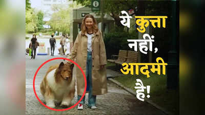 अजीबोगरीब शौक! कुत्ते जैसी जिंदगी जी रहा जापान का यह शख्स, 12 लाख रुपए खर्च कर बनवाई डॉग कॉस्टयूम