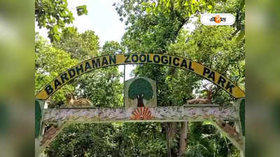 Bardhaman Zoological Park : আসছে বাঘ-সিংহও! বর্ধমান চিড়িয়াখানাকে সাজাতে একগুচ্ছ উদ্যোগ প্রশাসনের