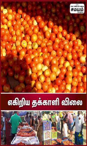 samayam/tamilnadu/salem/tomato-price-increased-in-salem