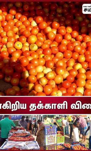 tomato price increased in salem