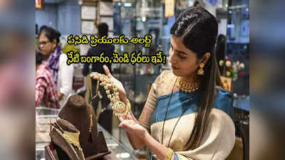 Gold Rate Today: స్థిరంగా బంగారం, వెండి ధర.. ఇప్పుడు కొనొచ్చా? హైదరాబాద్‌లో లేటెస్ట్ రేట్లు ఇవే! 