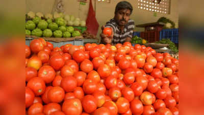 Tomato Prices: టమాటా రికార్డుల మోత.. ధరలు మరింత పైపైకి.. త్వరలో రూ.250కి..