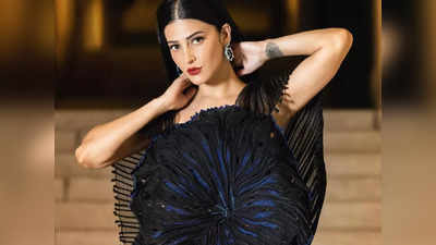 Shruti Haasan : ఆ ఫోటో పెట్టమని అడిగిన నెటిజన్!.. ఊహించని పిక్‌తో శ్రుతి హాసన్ రిప్లై.. నోరెళ్లబెట్టేసిన నెటిజన్లు 